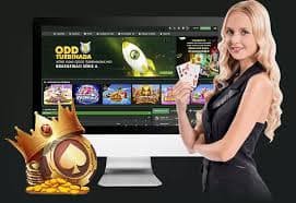 Interface pasang taruhan sportsbook di rapi888